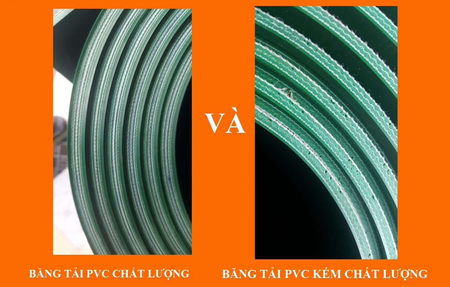 Băng tải PVC chất lượng và băng tải PVC kèm chất lượng