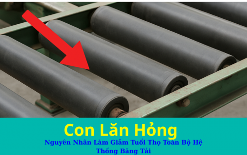 Con Lăn Hỏng – Nguyên Nhân Làm Giảm Tuổi Thọ Toàn Bộ Hệ Thống Băng Tải