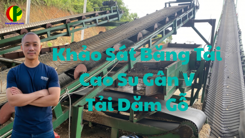 Hệ Thống Băng Tải Gân V Tải Dăm Gỗ – Giải Pháp Vận Chuyển Hiệu Quả Cho Ngành Công Nghiệp