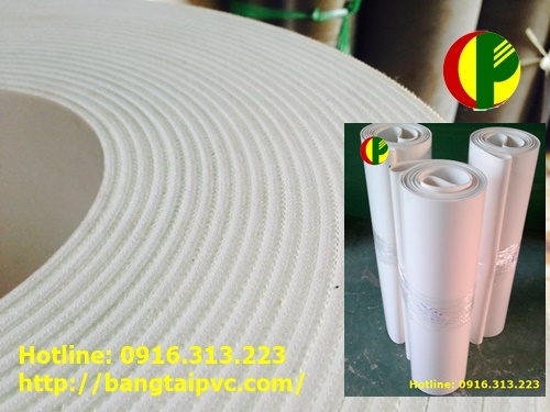 Băng tải PVC trắng dày 4mm được nhập khẩu và cung cấp bởi băng tải Cường Phong